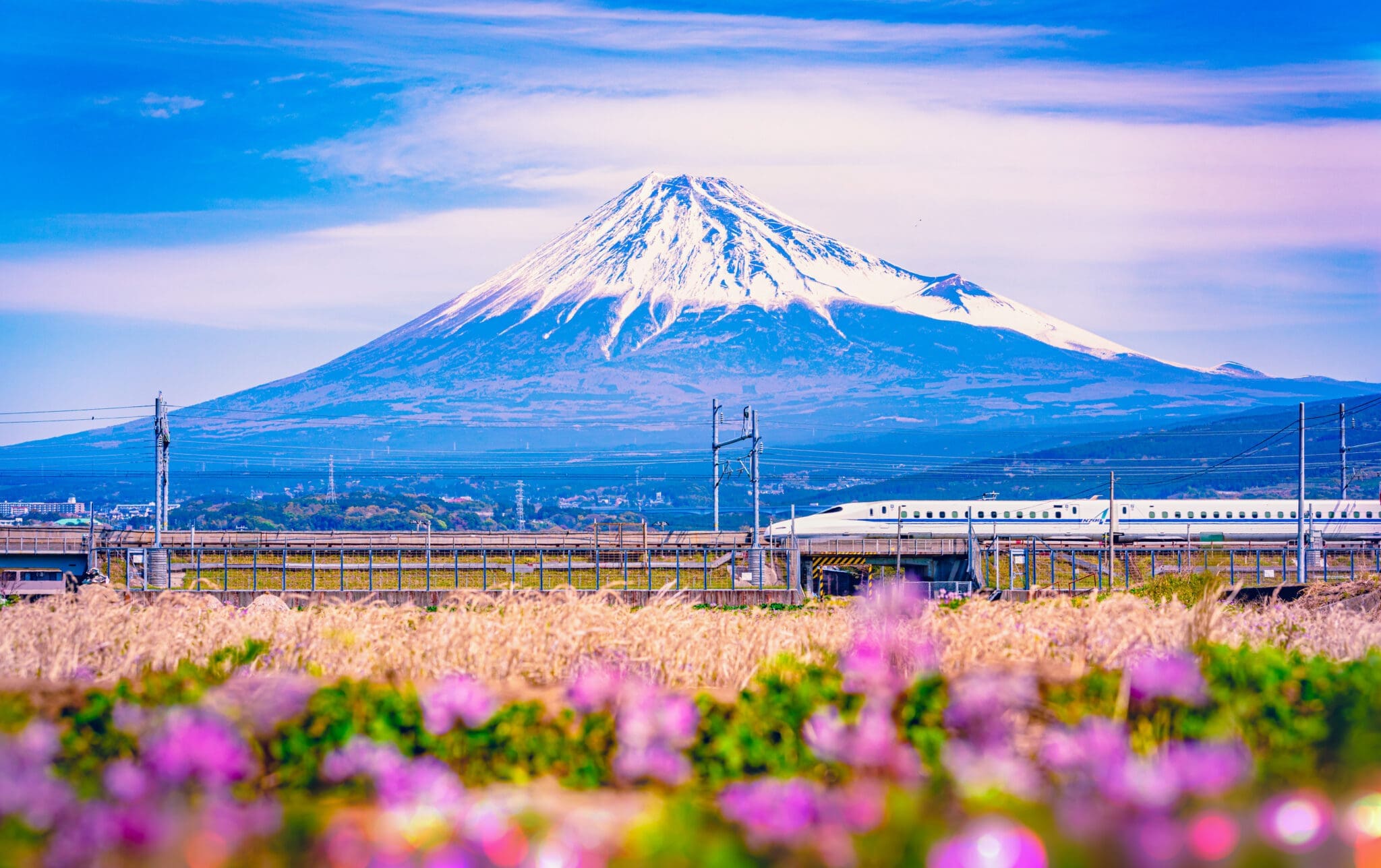 Mount Fuji above the spring fields