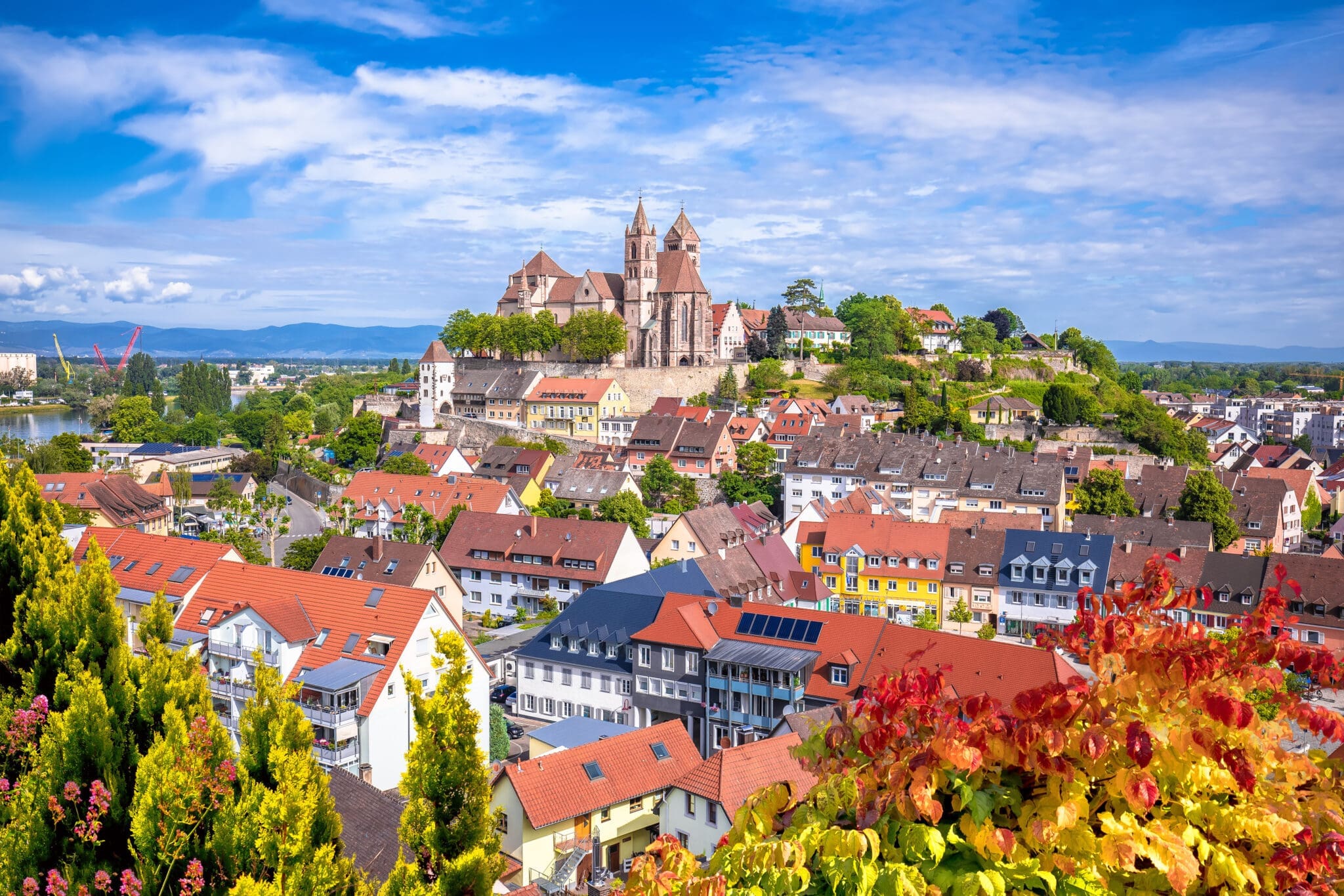 St. Stephen's Cathedral above the rooftops of Breisach on the Rhine