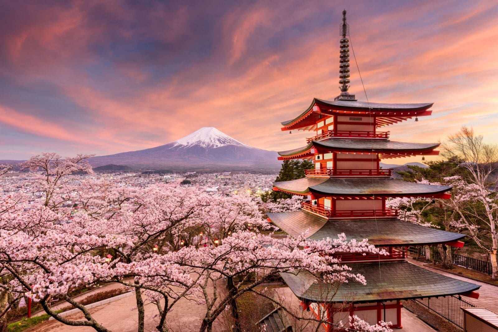 Chureito Pagoda framed by cherry blossom at dusk, with Mount Fuji rising behind it